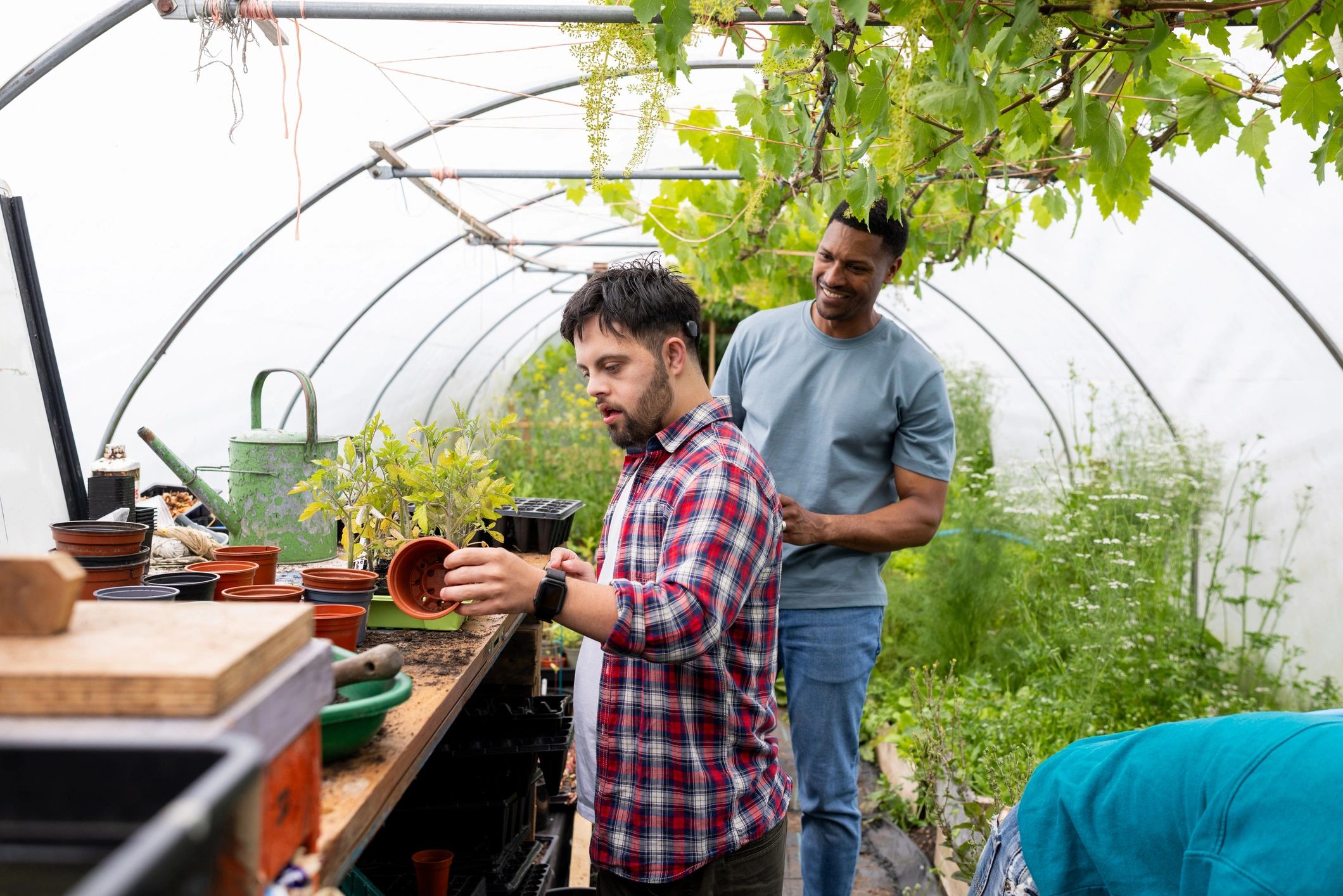 Team members working with plants in a greenhouse